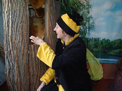 В Ростове открылся музея славянского пчеловодства