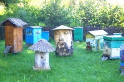 Пчелиные жилища